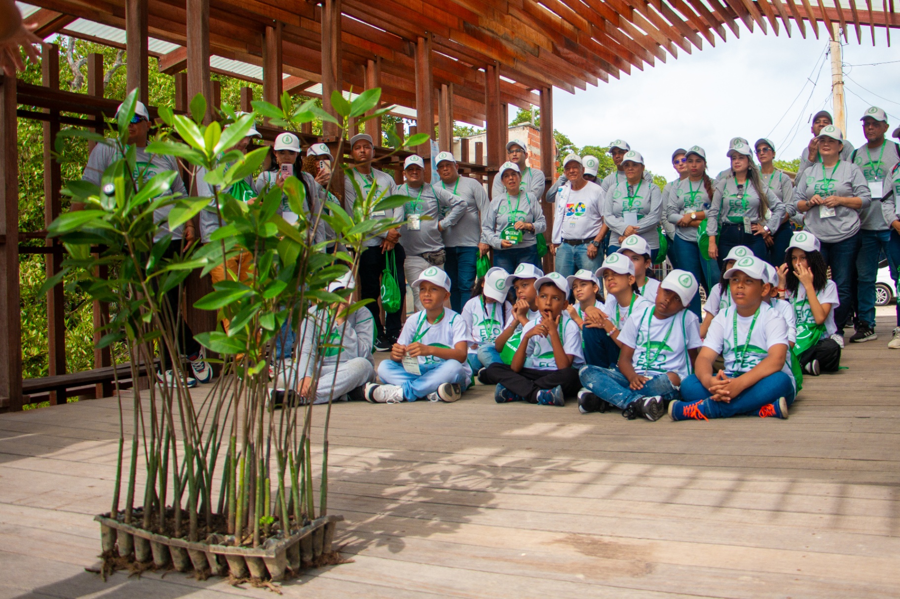 Estudiantes EcoFest en jornada educativa de mangle