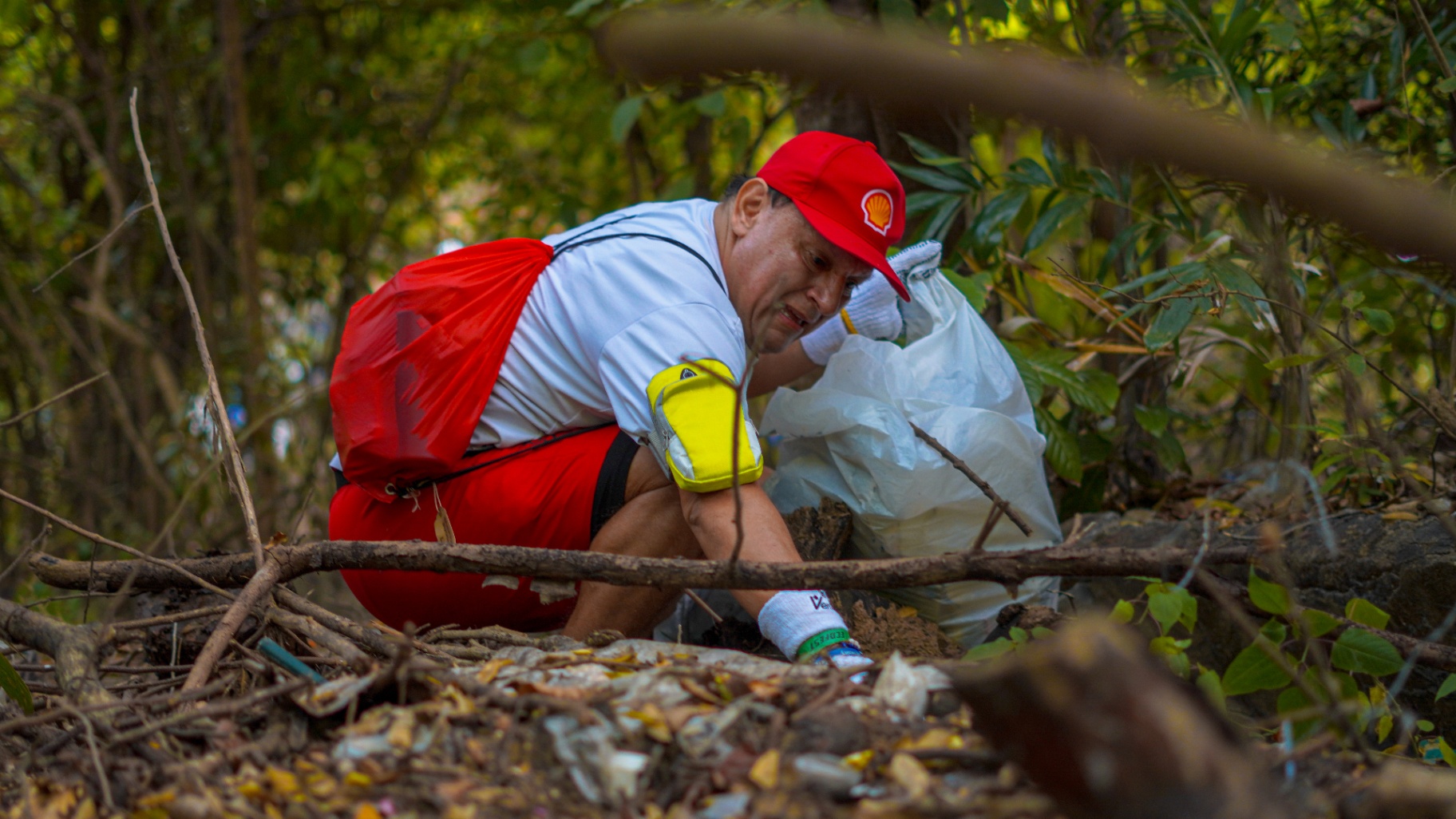 Voluntario limpiando el bosque
