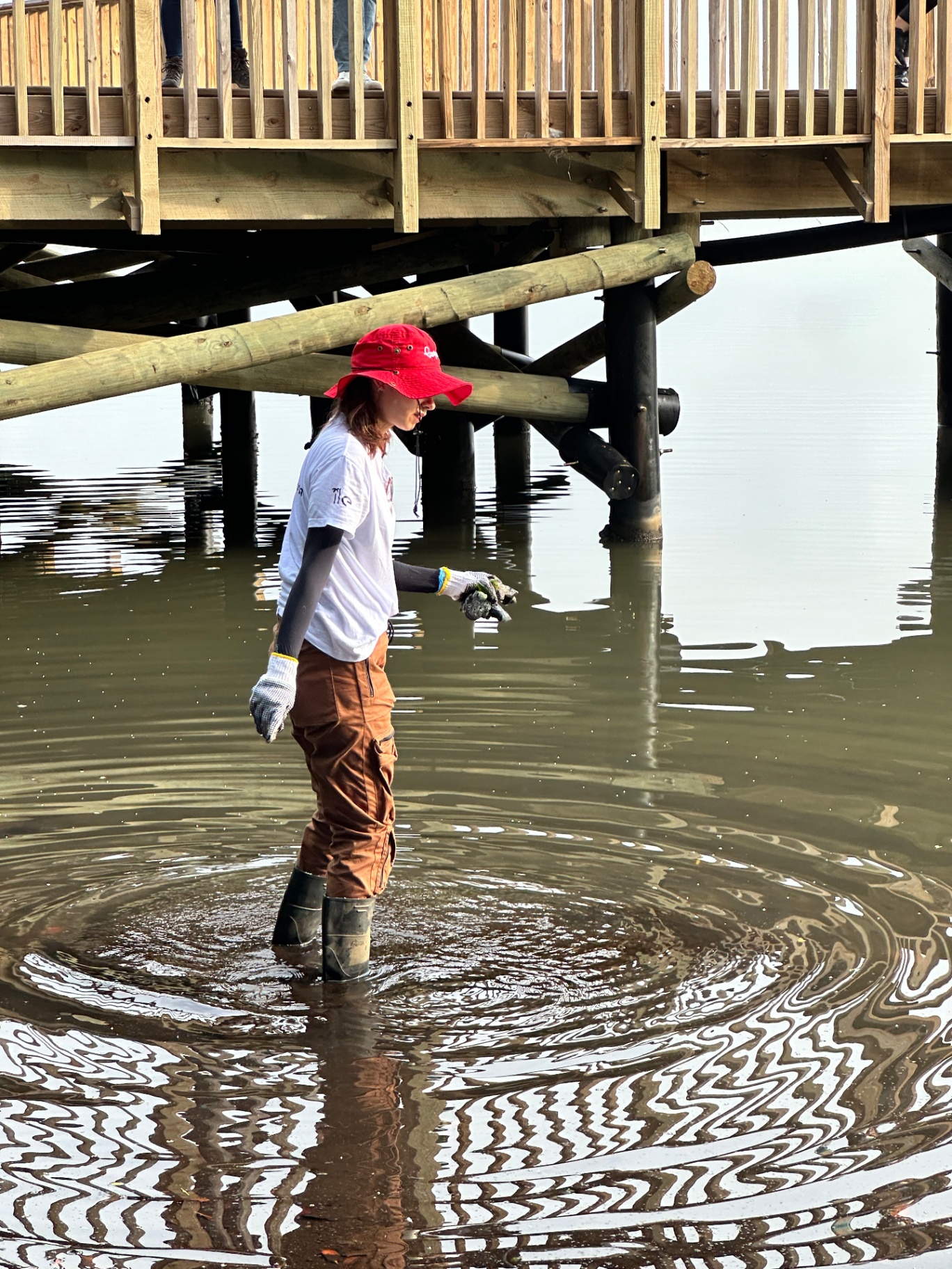 Voluntaria limpiando la ciénaga con guantes