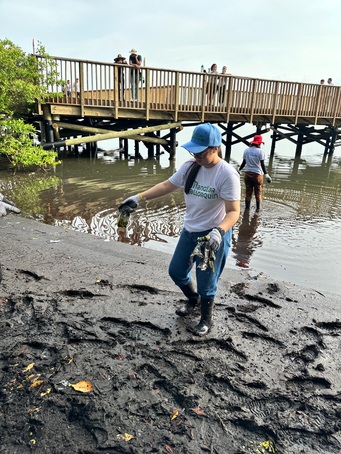 Voluntaria Manglar Mallorquín recolectando residuos