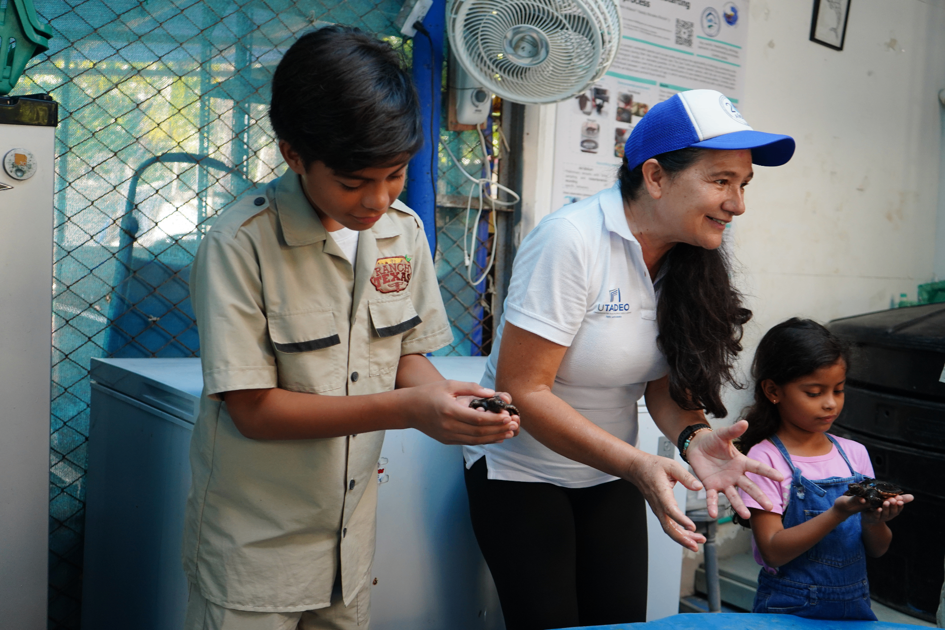 Experiencia inmersiva con tortugas marinas en EcoFest